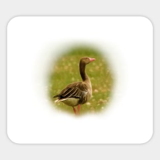 Wild goose Sticker